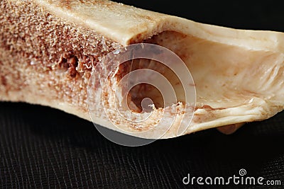 Pig leg bone show the cartilage joint. Stock Photo