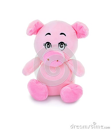 Pig plushie doll isolated on white background with shadow reflection. Hog plush stuffed puppet on white backdrop. Stock Photo