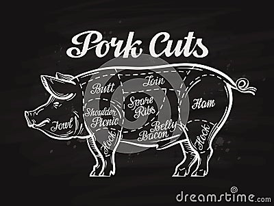 Pig, pork cuts. template menu design for restaurant, cafe Vector Illustration