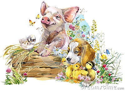 Pig. puppy dog. fox. ducklings. chick. watercolor cute farms animal collection Cartoon Illustration