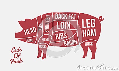 Cuts of Pork. Meat cuts. Pig silhouette isolated on white background. Vintage poster for meat,butcher shop. Vector Illustration