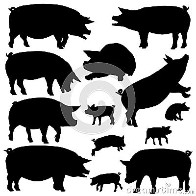 Pig silhouettes Vector Illustration