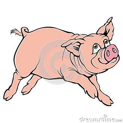 Pig Vector Illustration