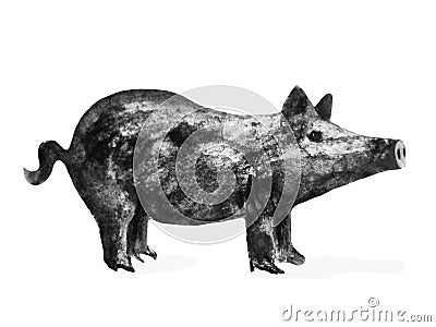 Pig - symbol of 2019 year, watercolor ink illustration, isolated on white Cartoon Illustration