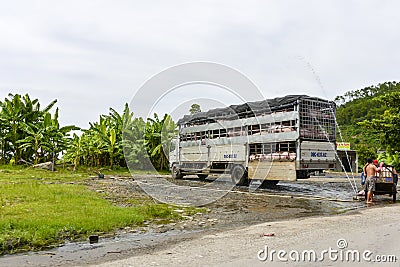 Pig truck, Vietnam Editorial Stock Photo