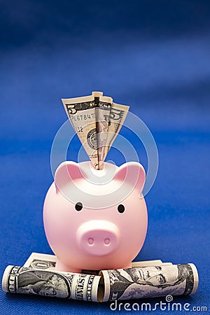 pig and 100 us dollars, blue background. Stock Photo
