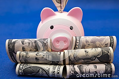 pig and 100 us dollars, blue background. Stock Photo