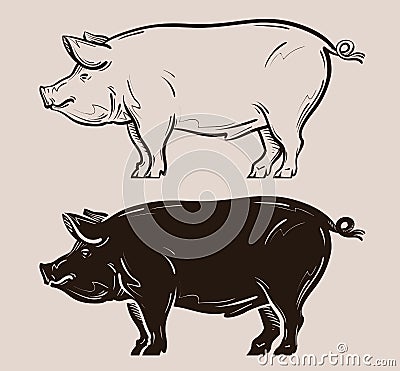 Pig vector logo. farm, pork, piggy icon Vector Illustration