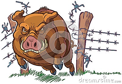 Pig or Wild Boar Crashing Through Fence Vector Cartoon Vector Illustration