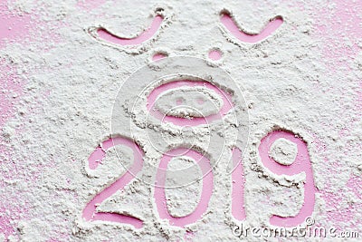Pig and 2019 year. Cute pig face drawn on flour or snow and 2019 Stock Photo