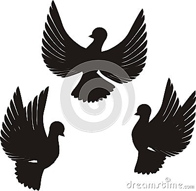 Pigeon Vector Illustration