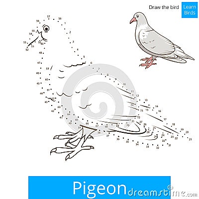 Pigeon bird learn to draw vector Vector Illustration