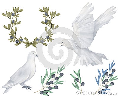 Pigeon and olive clip art digital drawing watercolor bird fly peace dove for wedding celebration illustration similar on Cartoon Illustration