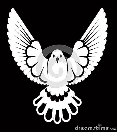 Pigeon or dove, white bird Vector Illustration