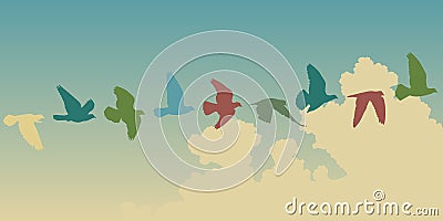 Pigeon flight Vector Illustration