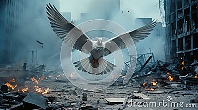 Pigeon flying in the air over destroyed building in the city Aftermath of the war. The concept of peace Stock Photo