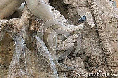 Pigeon on the foot in the fountain of quattro fiumi, Square Navona, Rome Stock Photo