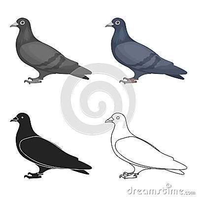 Pigeon icon in cartoon style isolated on white background. Bird symbol stock vector illustration. Vector Illustration
