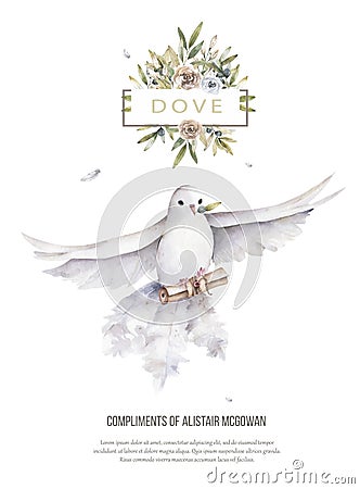 Pigeon and olive clip art digital drawing watercolor bird fly peace dove for wedding celebration illustration similar on Cartoon Illustration