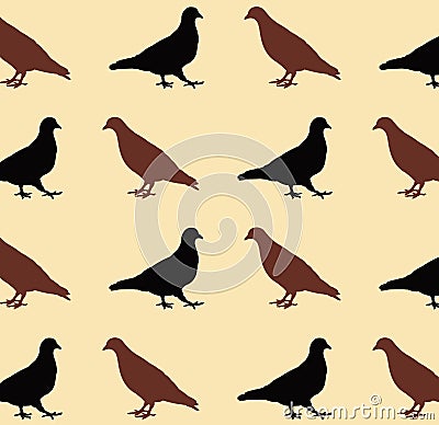 Pigeon pattern Vector Illustration