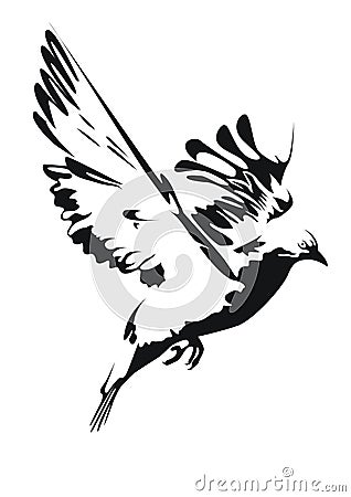 Pigeon of peace. Vector Illustration