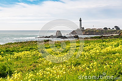 Pigeon Point Lighthouse Stock Photo