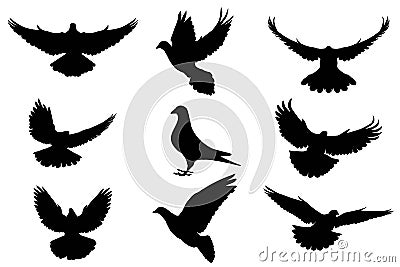 Pigeon silhouette, flying dove silhouette vector Vector Illustration