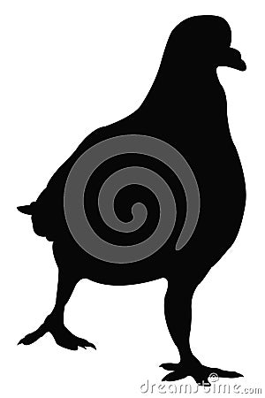 Pigeon silhouette Vector Illustration