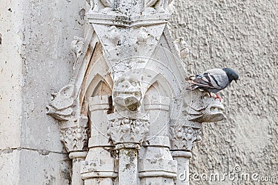 Pigeon sits on the Gothic facade Stock Photo