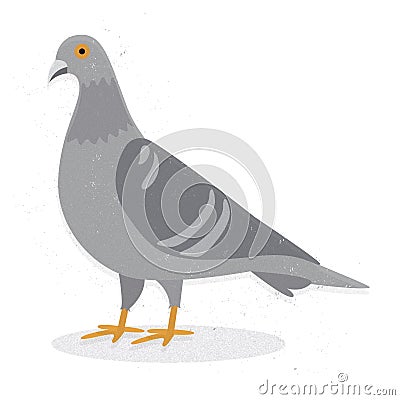 Pigeon Cartoon Illustration