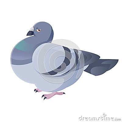 Pigeon Vector Illustration