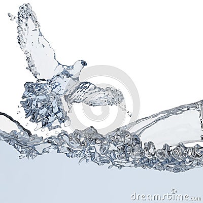 Pigeon of water Stock Photo