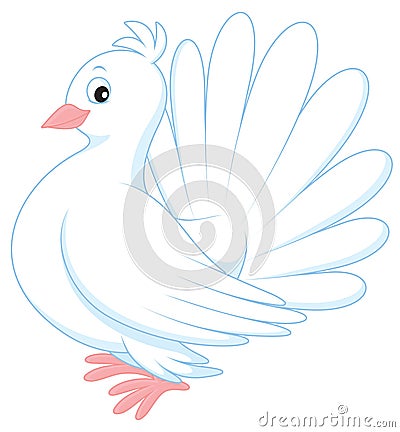 Pigeon Vector Illustration