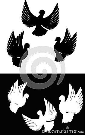 Pigeons Vector Illustration