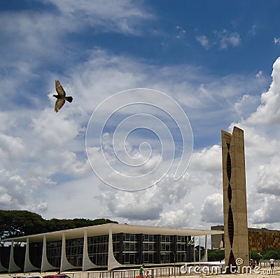 Pigeons flying Stock Photo