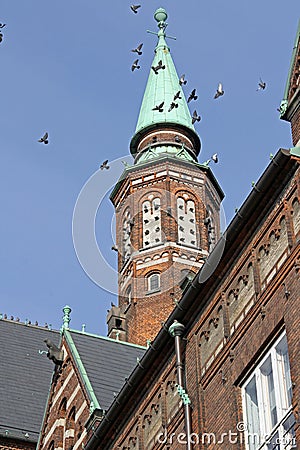 Pigeons living i the City Hall Stock Photo