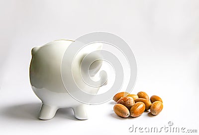 Piggy bank with acorns. White ceramic moneybox Stock Photo