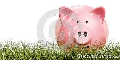 Piggy bank in the grass, 3D Stock Photo