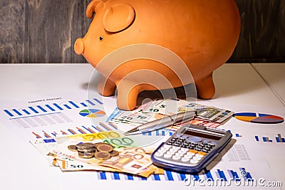 Piggy bank on money, euros bills, bussiness reports, pen and calculator Stock Photo