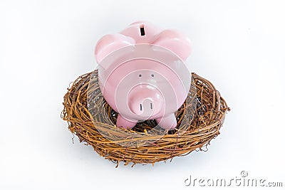 Piggy Bank in Nest Stock Photo