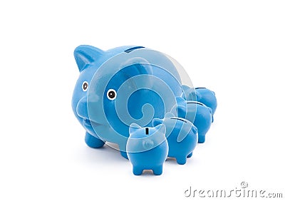 Piggy banks feeding from their mother Stock Photo