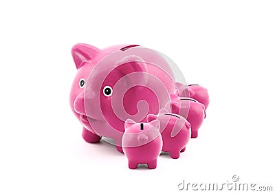 Piggy banks feeding from their mother Stock Photo