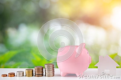 Piggybank of money with coins stack stair step up growing saving money for house with green nature and bokeh background. Stock Photo