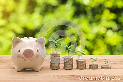 Piggybank And a pile of coins with the tops of trees That represents saving. Stock Photo