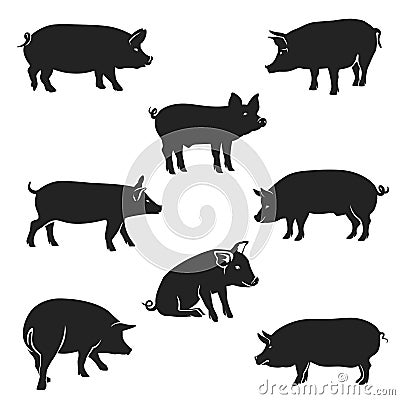 Pigs_Black Vector Illustration