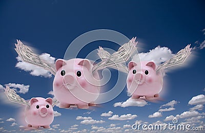 Pigs Fly Stock Photo