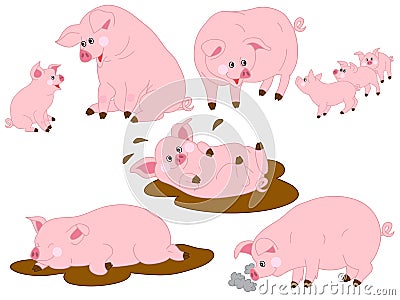 Pigs Vector Set Vector Illustration