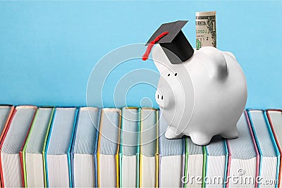 Pigy bank on book Stock Photo