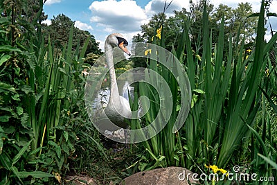 Pikaboo, the joking Swan Stock Photo