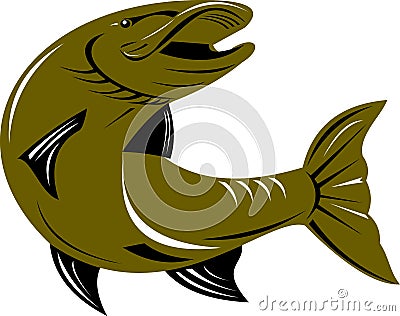 Pike fish Vector Illustration